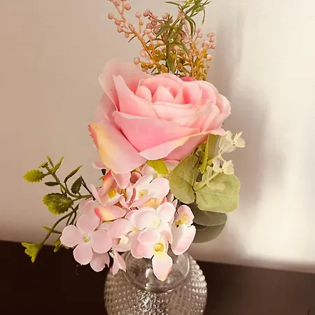 Salzinneschezsoi 2 Namen